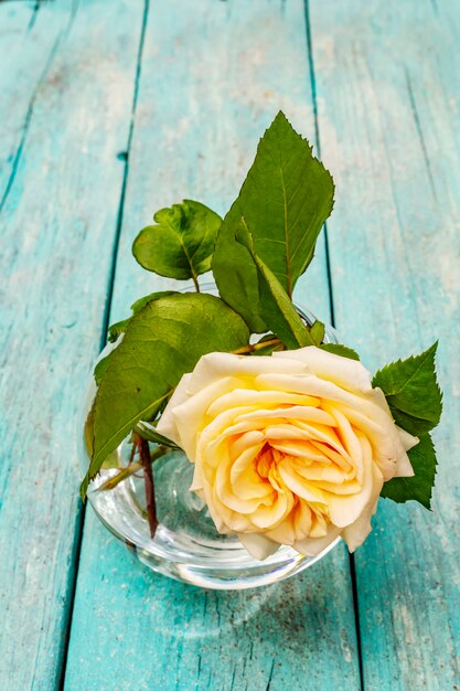 Rose de thé dans un vase en verre. Concept d'humeur romantique