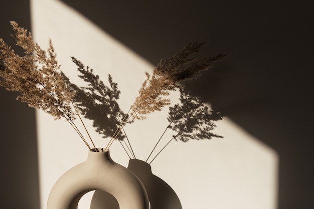 Roseau d'herbe de pampa sec dans un vase élégant. Ombres sur le mur. Silhouette à la lumière du soleil