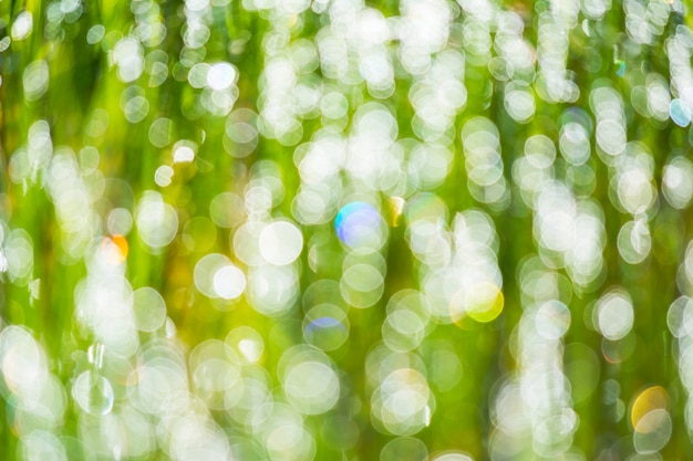 Rosée matinale défocalisée sur l&#39;herbe