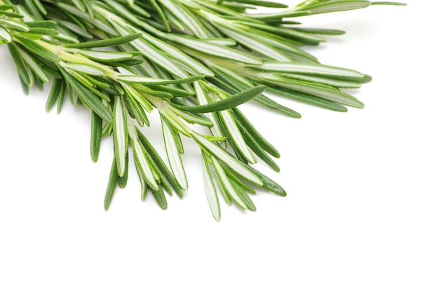 Rosemary