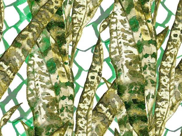 Photo roses aquarelles, pivoine et feuilles seamless pattern. conception de maillots de bain exotiques. fond de fleurs d'été. illustration florale botanique. vintage peonie eco rapport. vert et gris