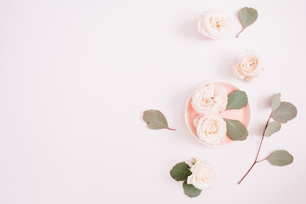 Roses beiges et branches d'eucalyptus sur rose pastel pâle