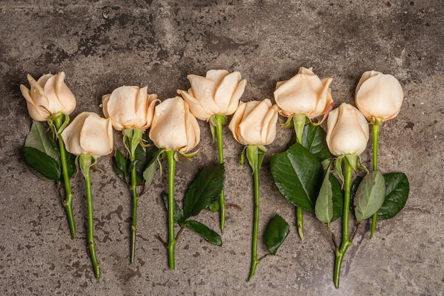 Roses beiges fraîches sur fond de béton texturé en pierre. Le concept festif pour les mariages, les anniversaires, le 8 mars, la fête des mères ou la Saint-Valentin