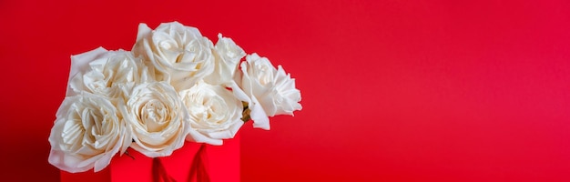 Roses blanches dans une boîte cadeau rouge isolée sur fond rouge Roses de Bourgogne