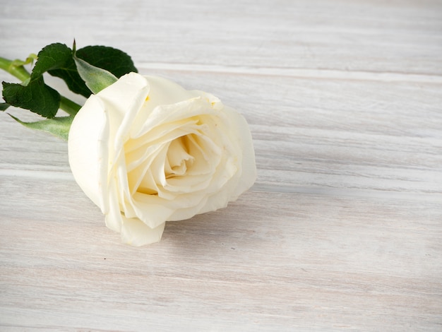 Roses blanches sur une table en bois blanche