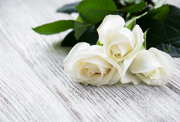 Roses blanches sur une table