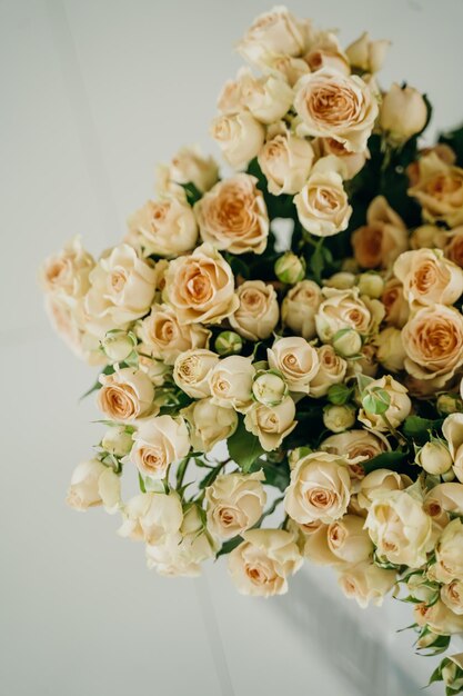 roses de brousse dans un vase de couleur délicate