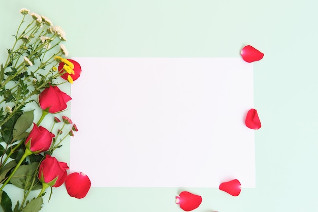 roses et chrysanthèmes couchés sur fond vert