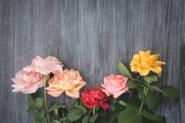 Roses colorées sur une surface en bois grise