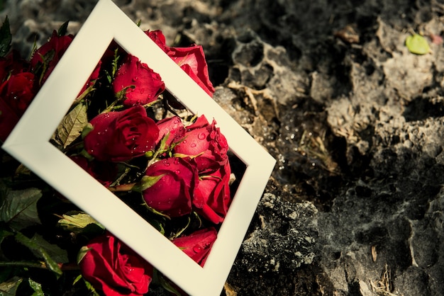 roses dans un cadre blanc sur la pierre. fond du concept de jour de la Saint-Valentin et le concept de l&#39;amour.