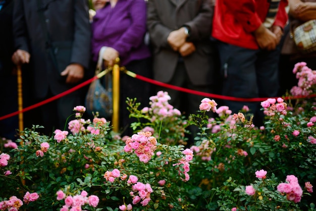 Photo des roses à l'enterrement avec des gens floues debout en arrière-plan