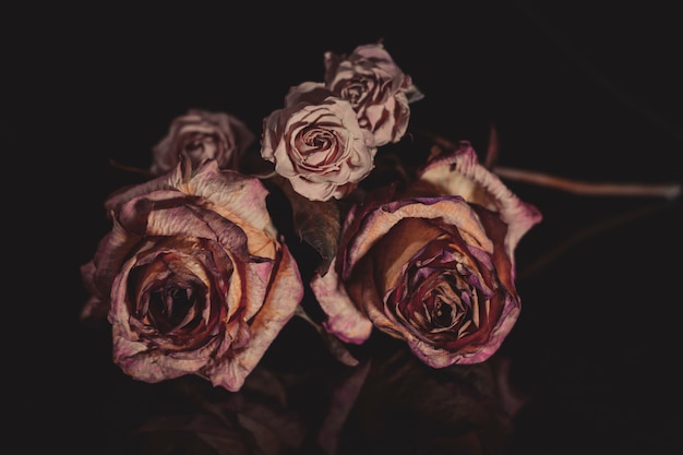 Roses fanées sur un miroir noir