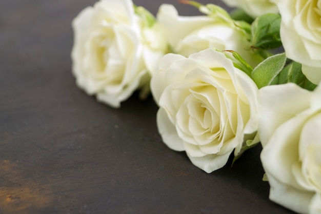 Photo roses en fleurs blanches sur un fond sombre.