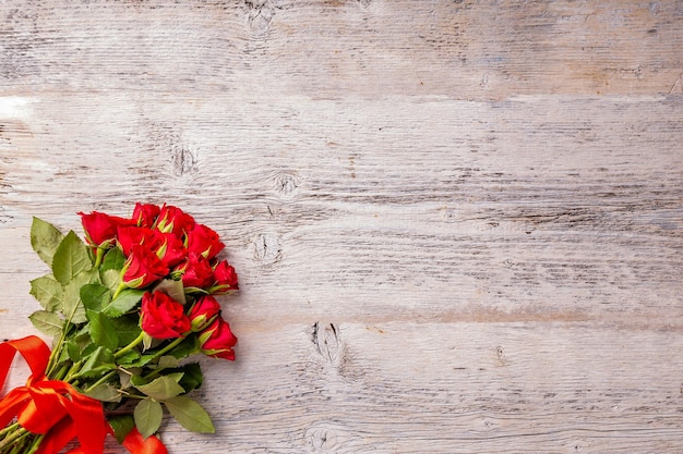 Roses de jardin rouges fraîches