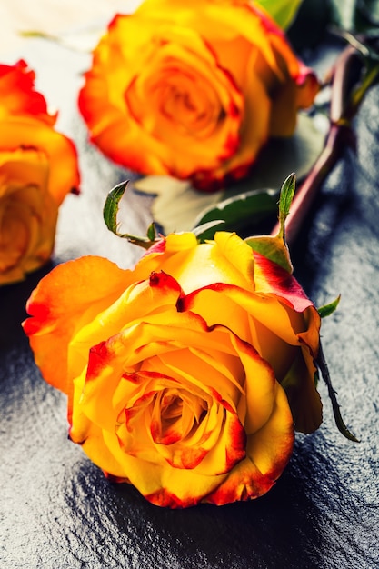 Roses jaunes sur planche de béton - gros plan.