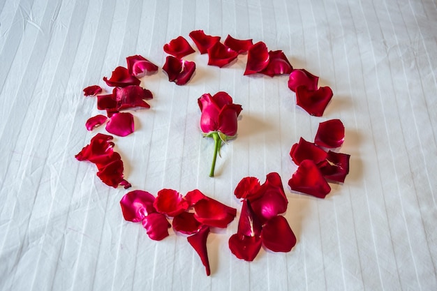Photo des roses sur un lit de matelas blancs décorent une célébration de mariage ou la saint-valentin