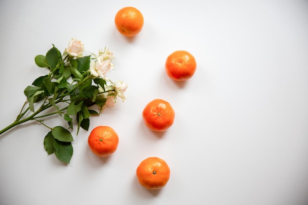 Roses avec des mandarines sur fond blanc Mode de vie sain et beau Carte postale de fleurs pour les vacances