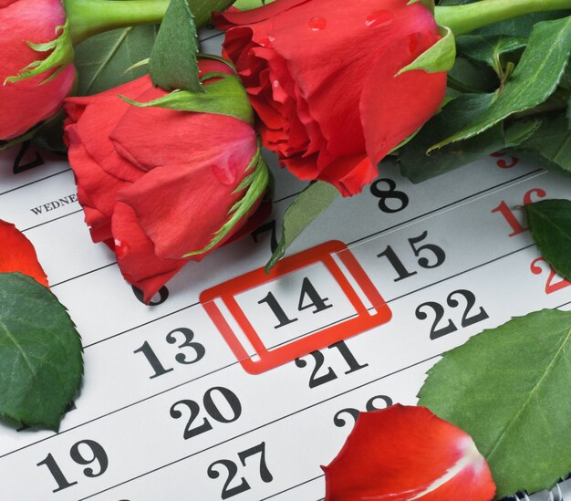 Les Roses Reposent Sur Le Calendrier Avec La Date Du 14 Février Saint Valentin