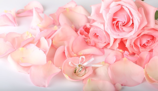 Roses roses avec alliances. fond romantique de mariage