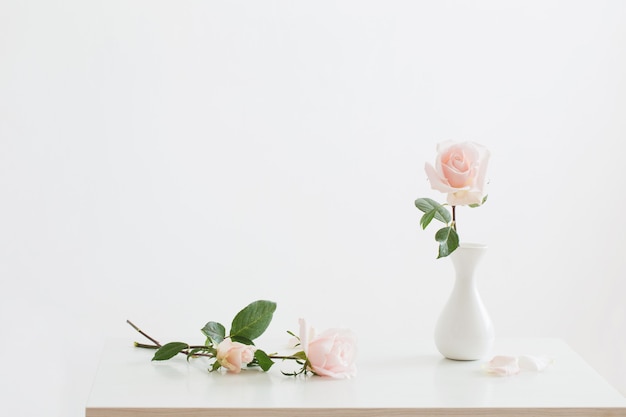 Roses roses dans un vase blanc sur fond blanc