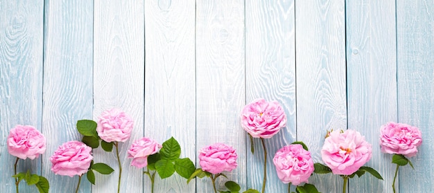 Roses Roses Sur Fond De Planches De Bois Bleu