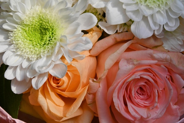 Roses roses et gerberas blancs dans un beau bouquet