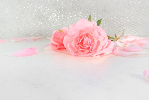 Roses roses et pétales sur fond blanc Parfait pour les cartes de voeux et les invitations de fond