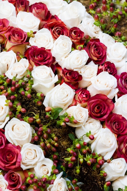 Roses rouges et blanches en arrangement.