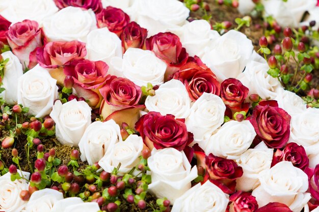 Roses rouges et blanches en arrangement.