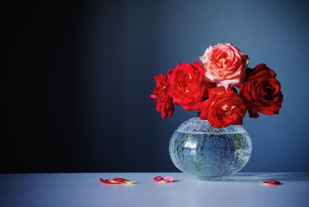 Roses rouges dans un vase en verre sur fond bleu foncé