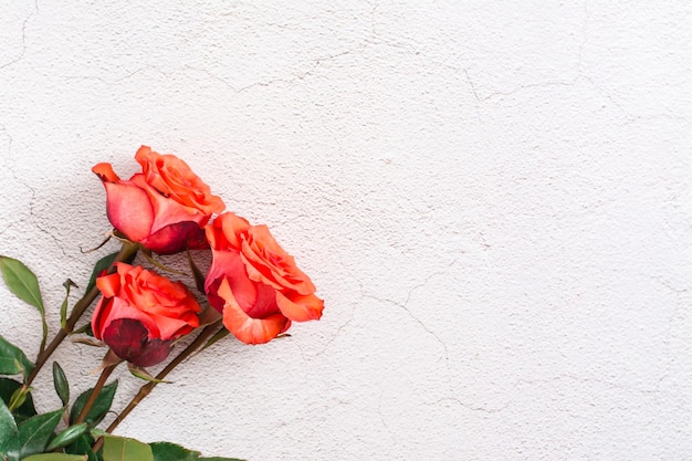 Roses rouges fraîches sur fond gris texturé Félicitations pour les cadeaux de vacances Vue de dessus