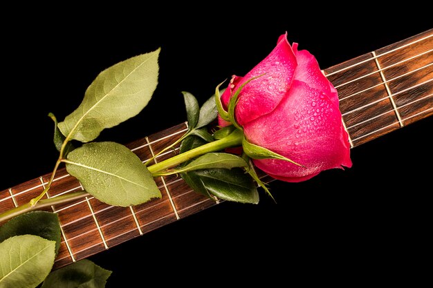 Roses rouges romantiques à la guitare, amour