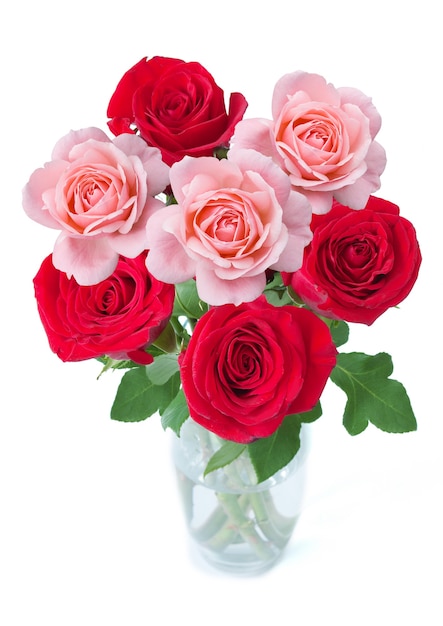 roses rouges et roses dans un vase sur blanc