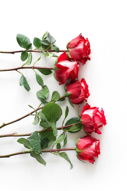 Roses rouges se trouvent sur une table en bois blanche, concept de la Saint-Valentin