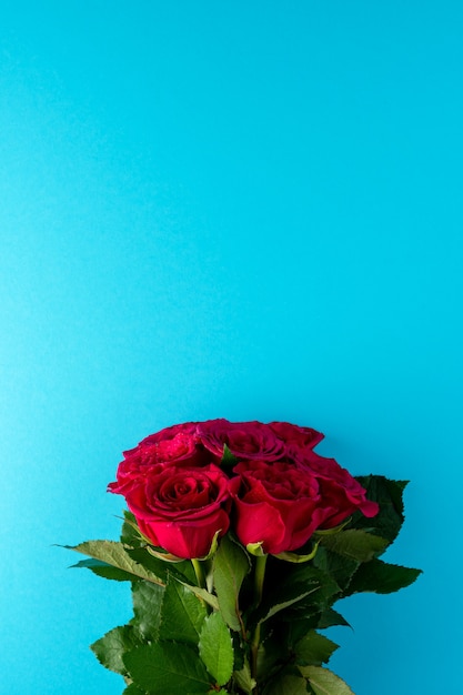 Roses rouges sur surface bleue.