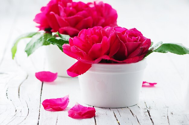 Roses rouges sur la table en bois