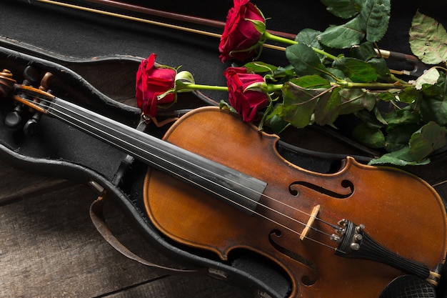 Roses Rouges Et Un Violon