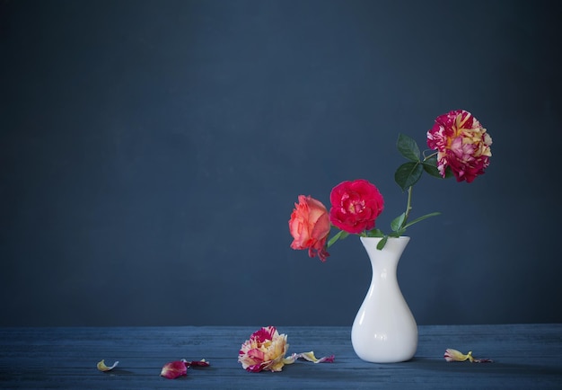 Roses en vase sur fond bleu foncé