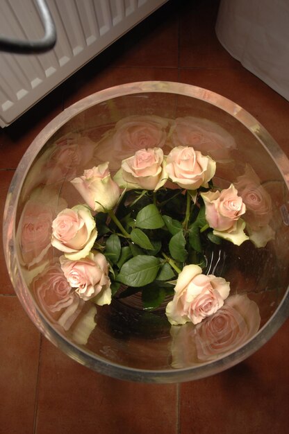 Photo des roses en vase