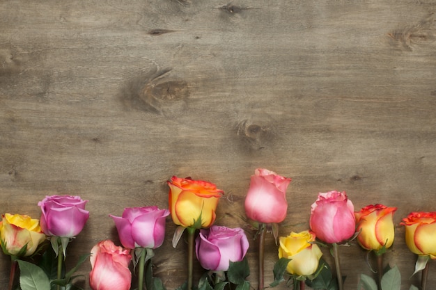 Roses violettes et jaunes, boîte présente sur fond en bois