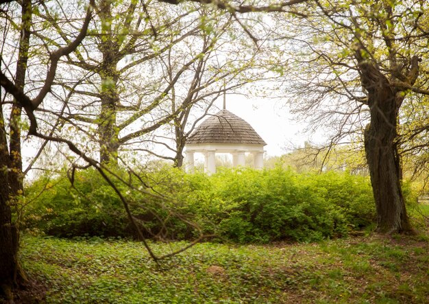 Une rotonde pittoresque parmi les arbres Rotonde Rotonde de mariage Architecture