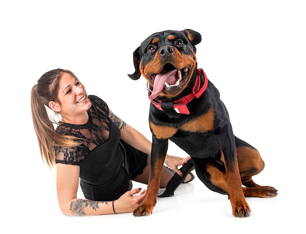 Rottweiler et femme en studio