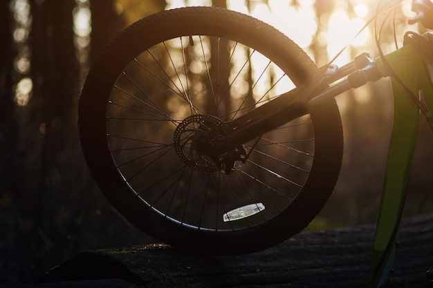 Photo roue de bicyclette au coucher du soleil