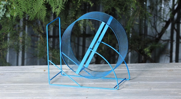 roue bleue pour les animaux sur la table