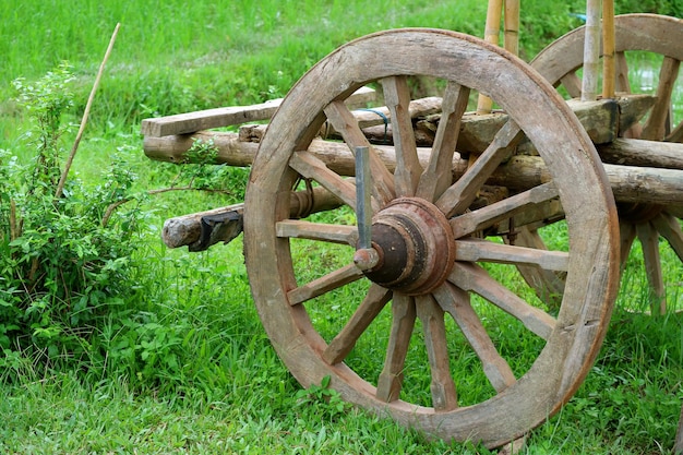 La roue en bois d'une vieille charrette à bœufs dans le champ vert