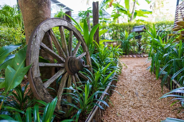 Roue décorative d'un chariot dans la cour d'un jardin tropical au jour d'été en Thaïlande