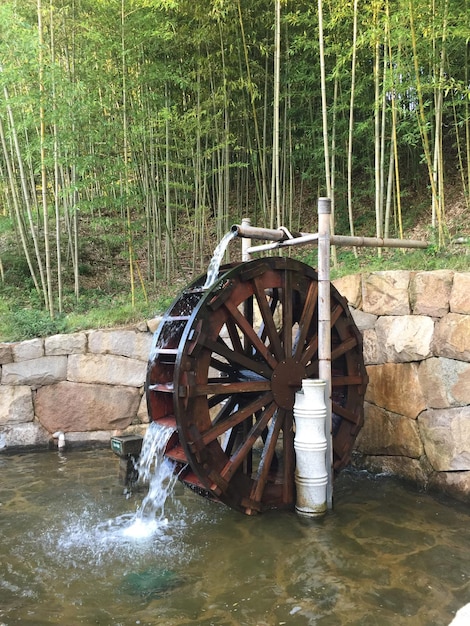 La roue d'eau sur le bois