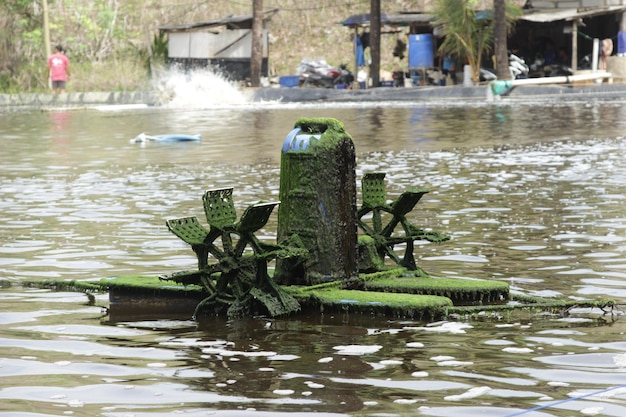 la roue d'eau