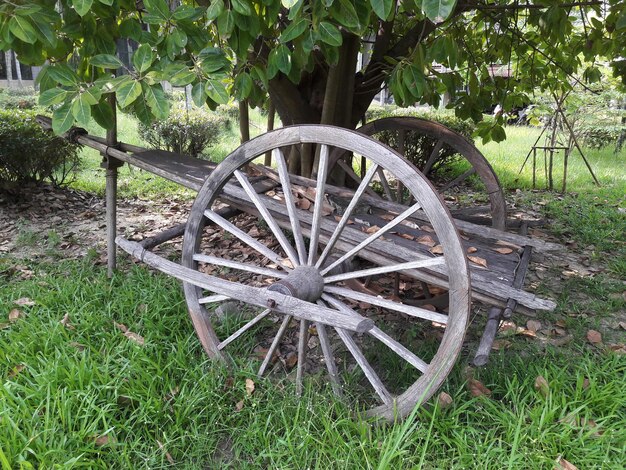 Photo la roue de ferris sur le terrain