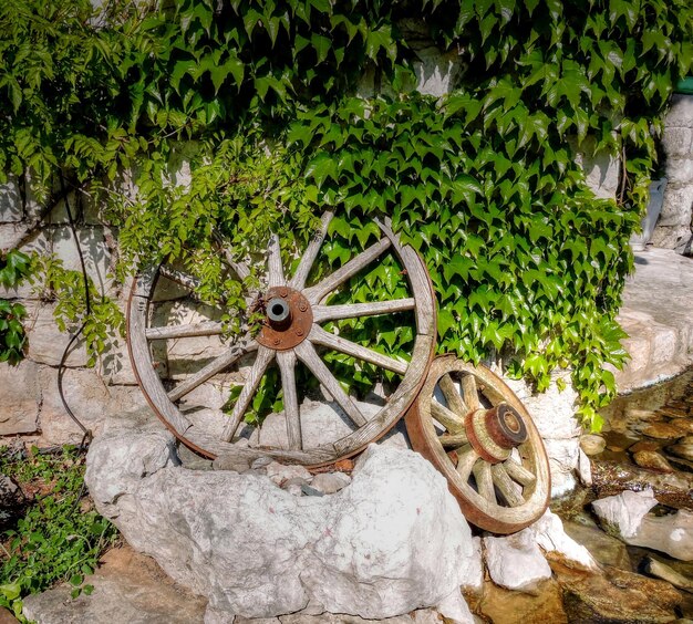 Une roue rouillée sur du bois contre des plantes.